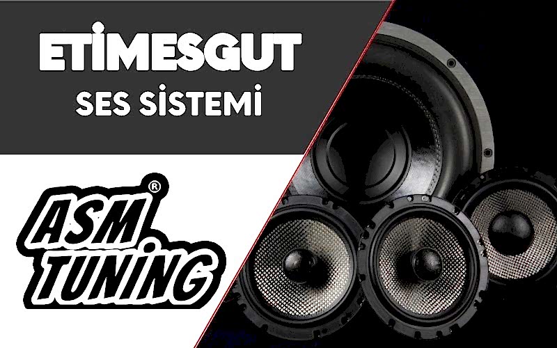 Etimesgut Ses Sistemi